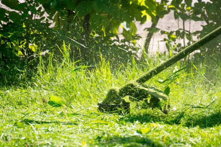 Entretien de jardin Toulouse